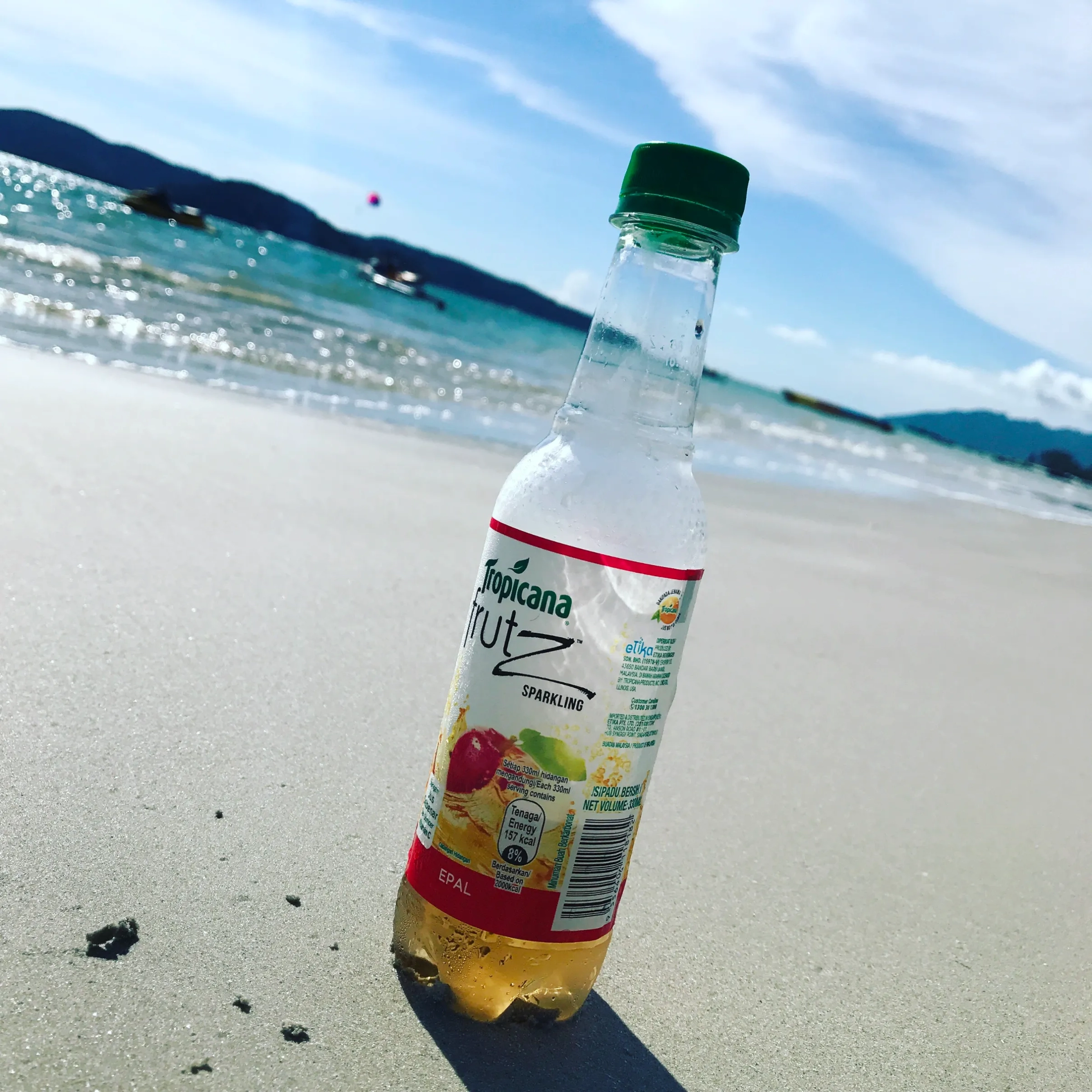 2017马来西亚之旅 (16)