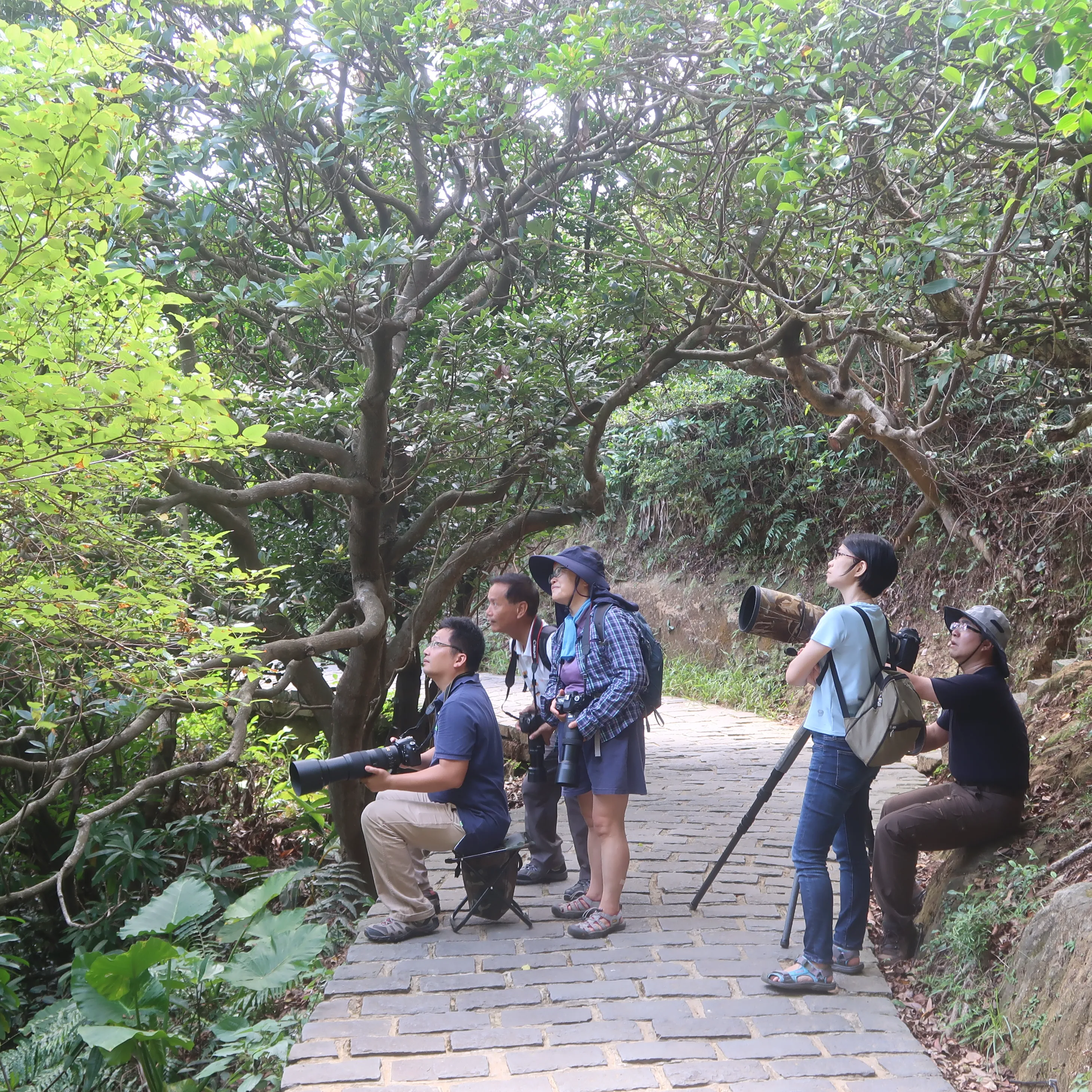 2017台湾之旅 (39)