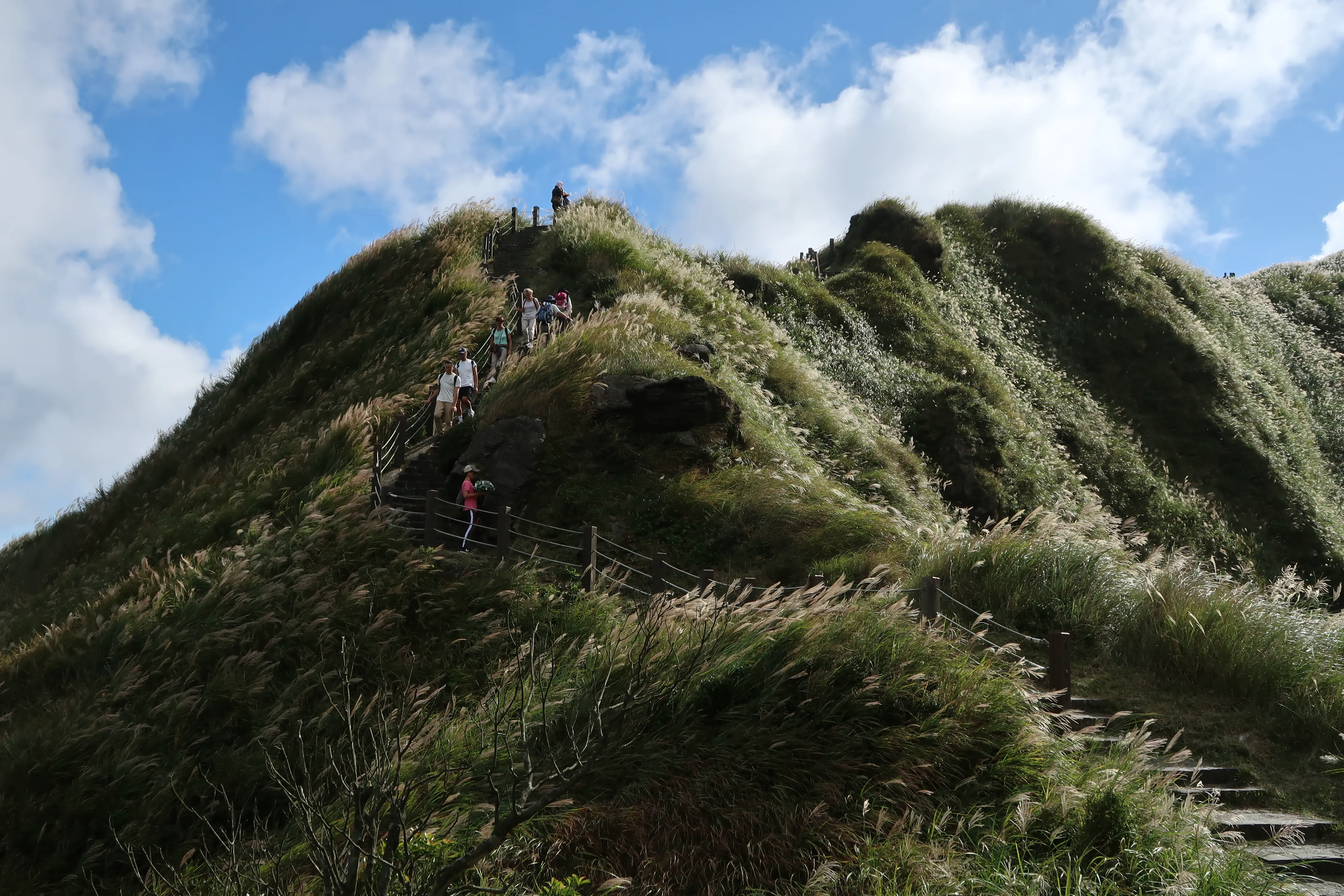 2017台湾之旅 (49)