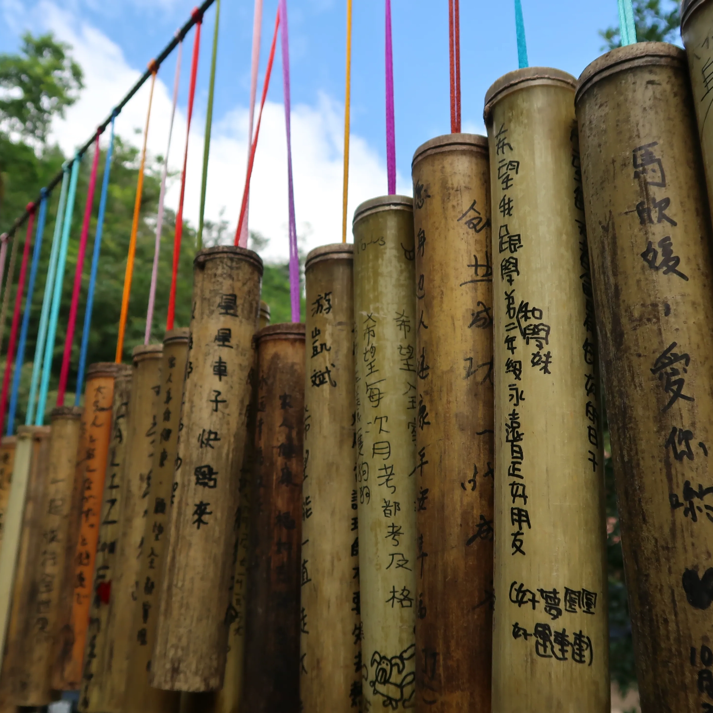 2017台湾之旅 (59)