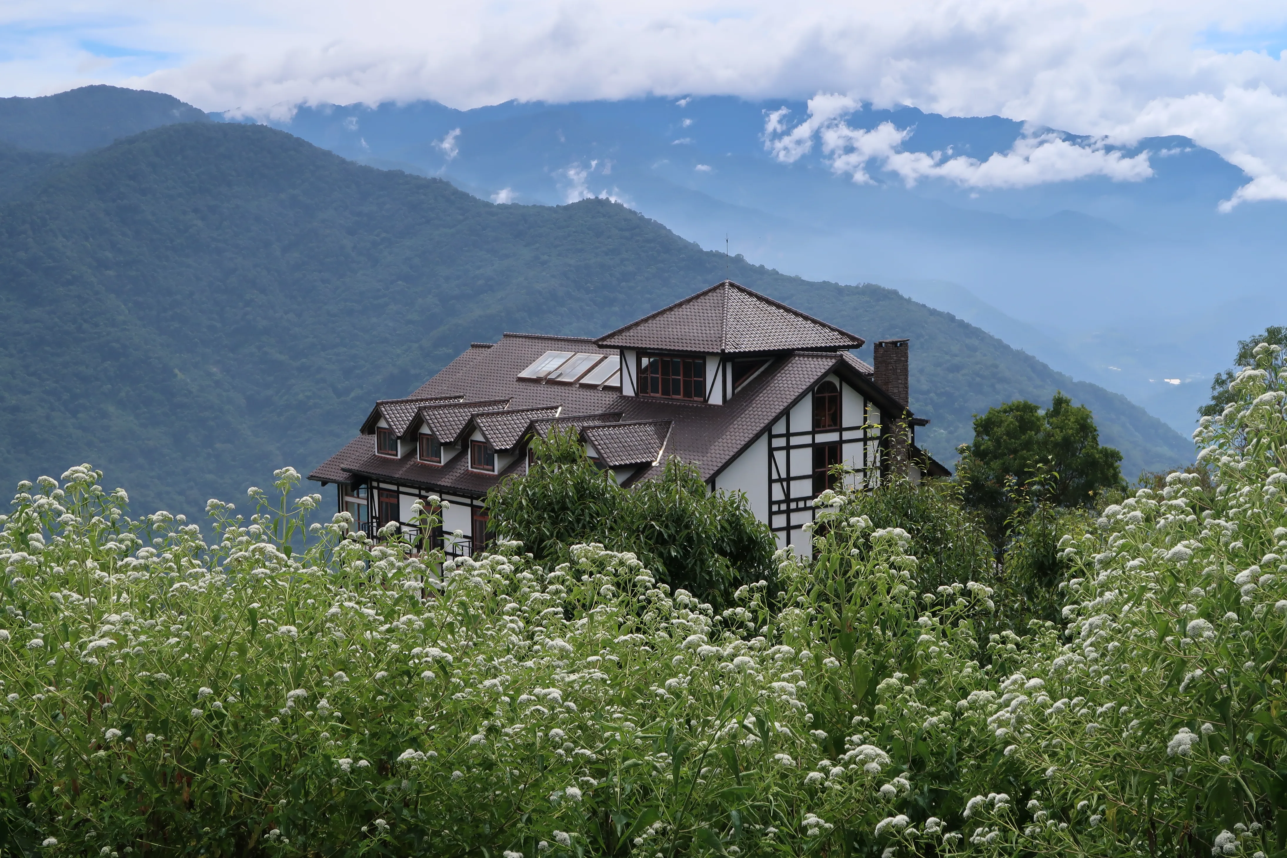 2017台湾之旅 (6)