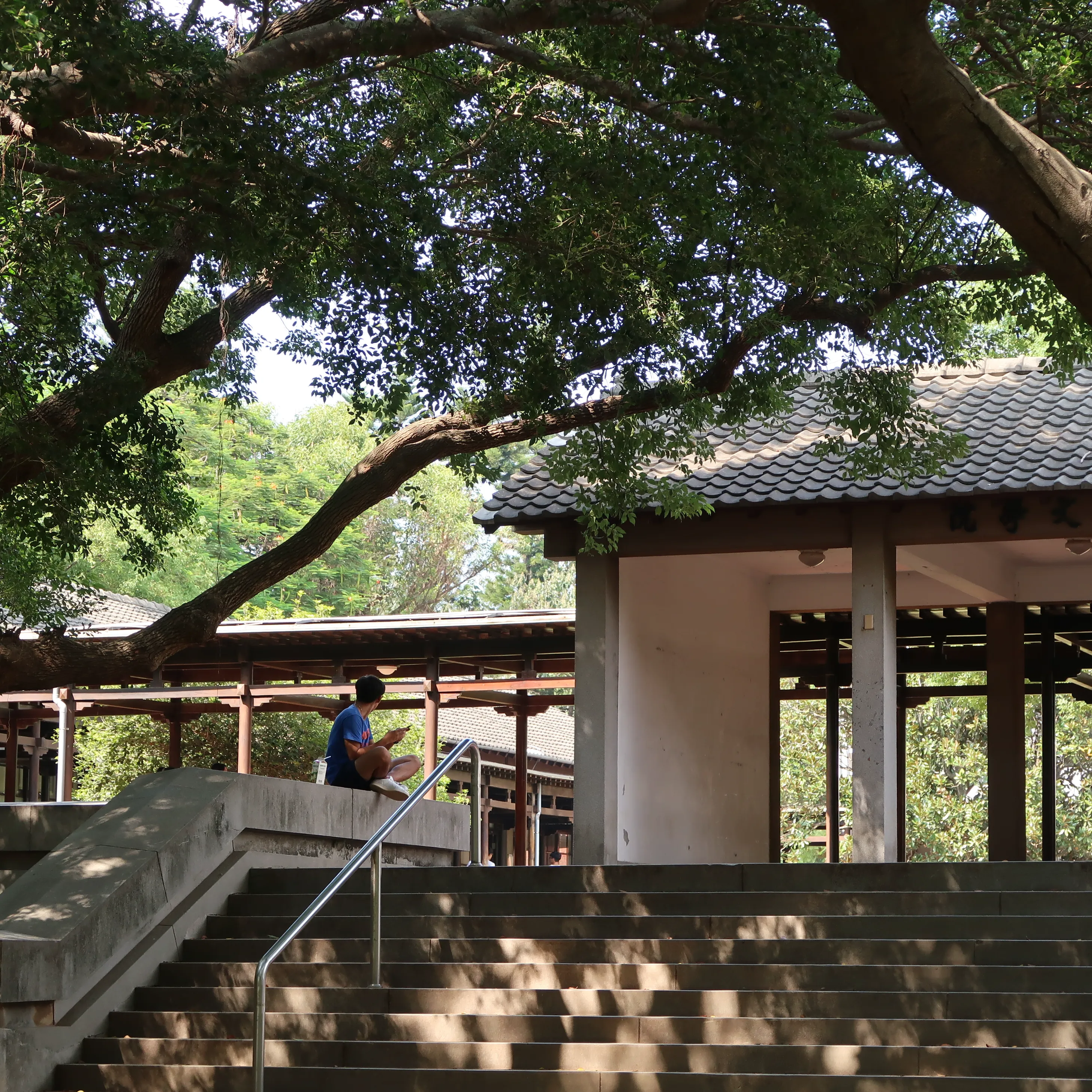 2017台湾之旅 (26)