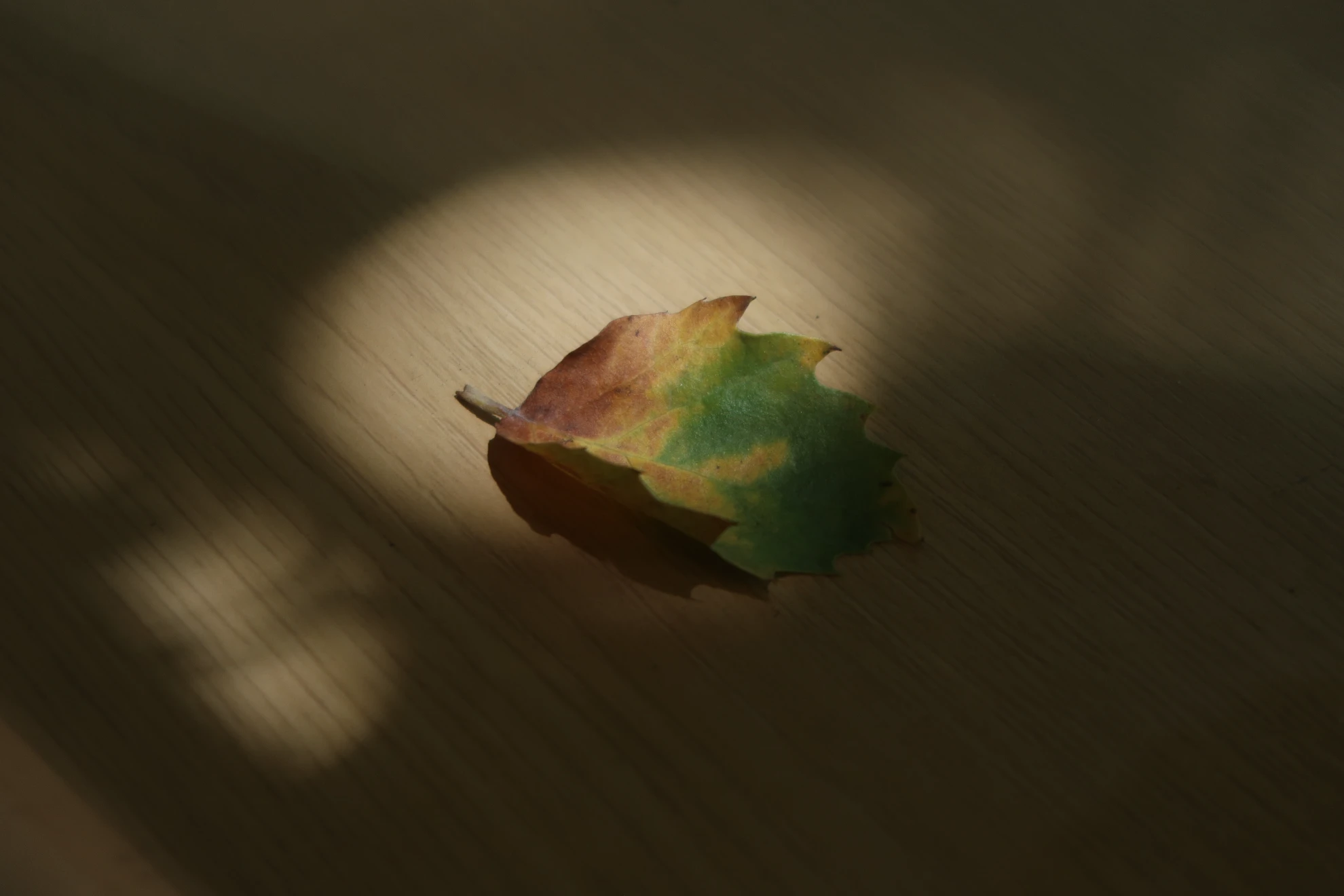 DAY3 (11)