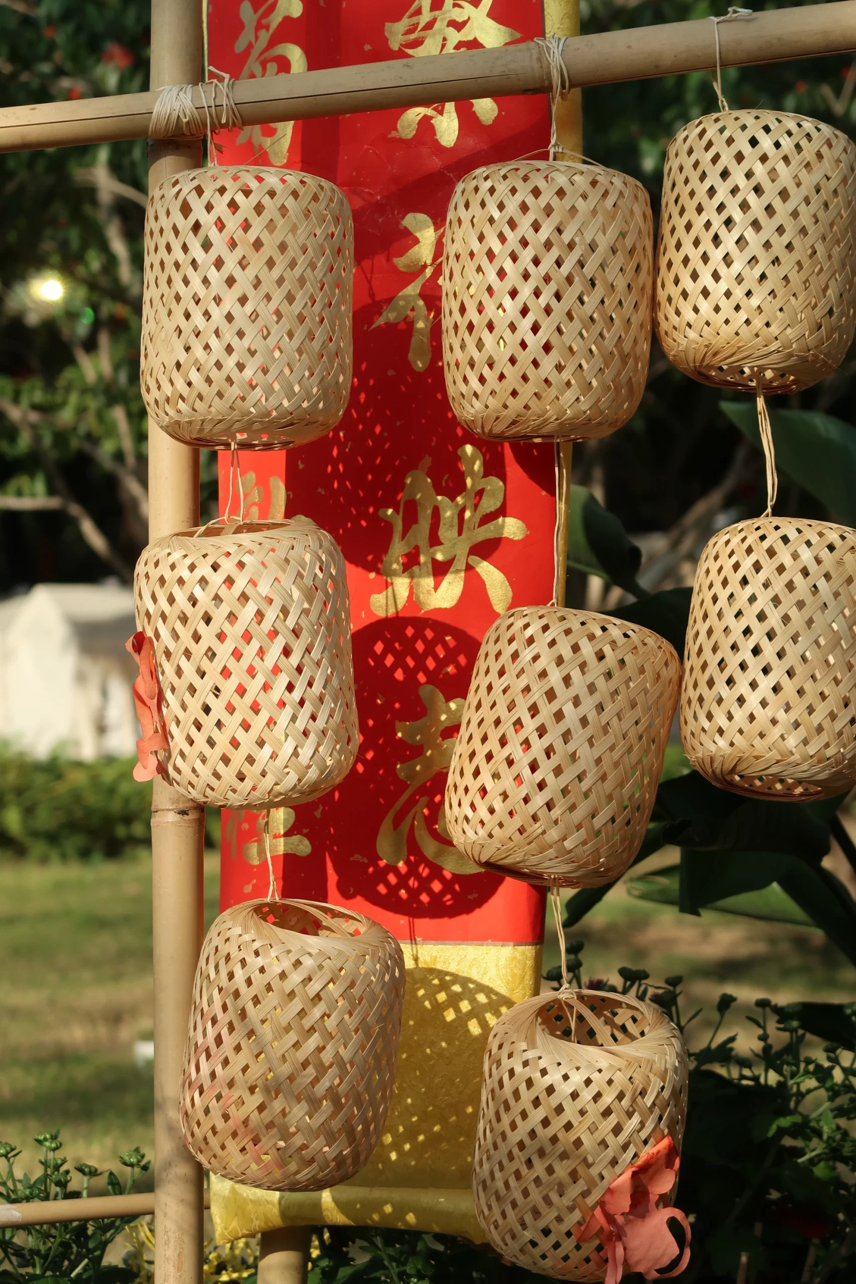 菊展 (2)