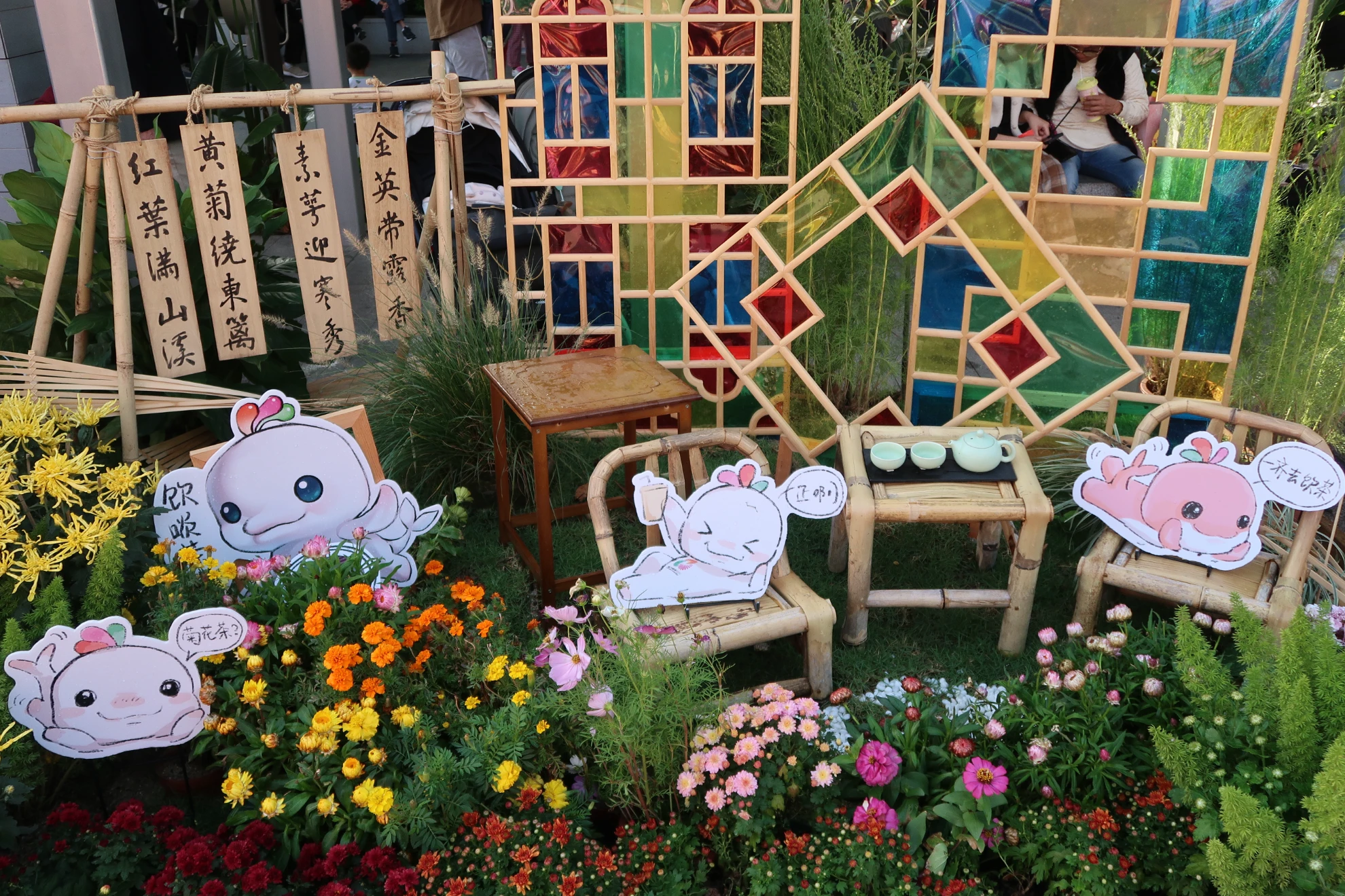 菊展 (6)