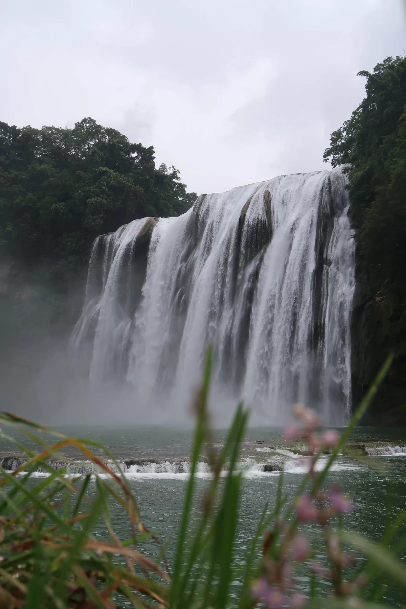 黄果树 (4)